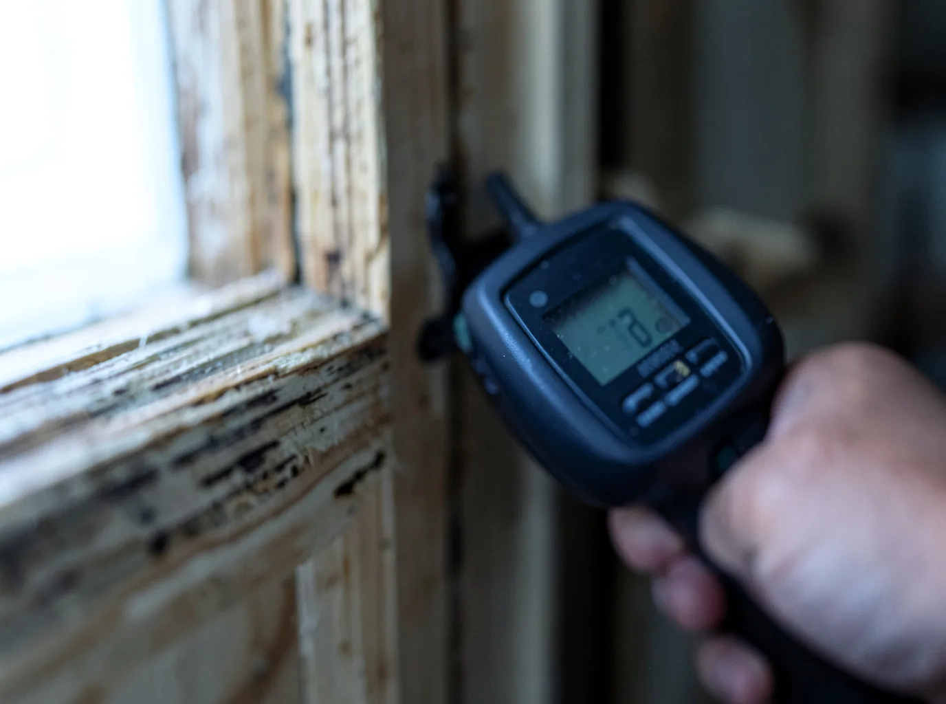 Moisture Inspection And Documentation in Brunsville, IA